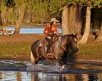 ranch-work-draft-horse
