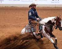 athletic-paint-horse