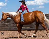 ridden-western-quarter-pony