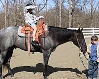 flashy-quarter-pony
