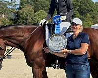 bay-lower-lip-white-spot-horse