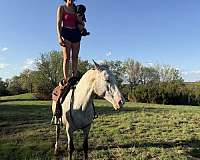 barrel-poa-horse