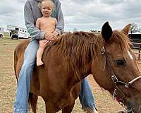 all-around-mare