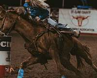 sorrel-blaze-right-hind-pattern-white-horse