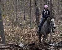 patrick-swayze-horse