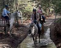 patrick-swayze-arabian-horse