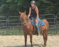 kismet-mare