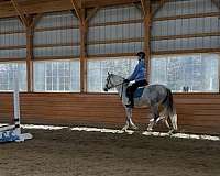 all-around-pony