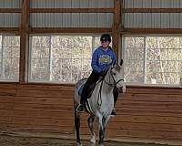 beginner-pony