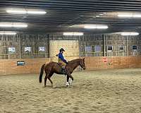 appendix-mare