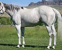 cooper-mare