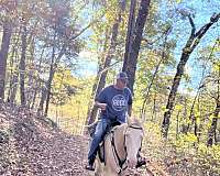 trail