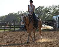 ridden-western-quarter-pony