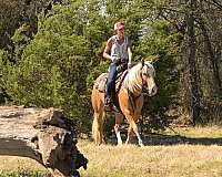 roping-quarter-pony