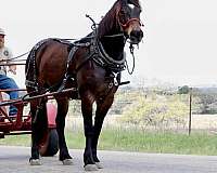 ranch-work-draft-horse