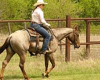 trail-riding-quarter-horse