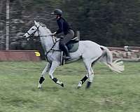 pulpit-mare