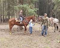 athletic-mustang-horse