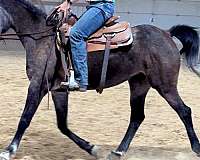 austin-mare