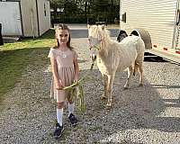 white-blue-eyes-horse