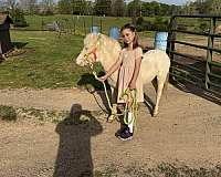 blue-eyed-pony