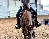 chestnut-blaze-horse