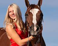 class-winner-horse