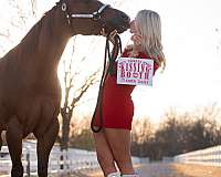 been-shown-filly