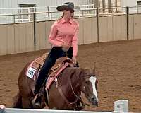 class-filly