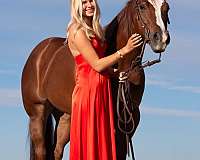 class-winner-filly