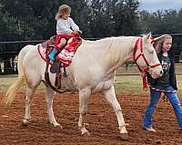 all-around-quarter-pony
