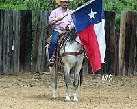 ranch-work-andalusian-horse
