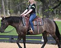 western-quarter-horse