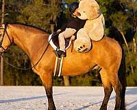 flashy-draft-horse