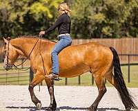 performance-draft-horse