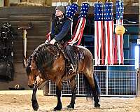 ranch-work-draft-horse