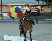 ranch-work-quarter-horse