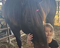 ranch-work-draft-horse