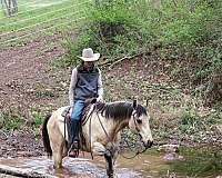 trail-riding-quarter-horse