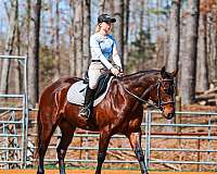 flashy-quarter-horse