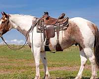 kid-safe-paint-horse