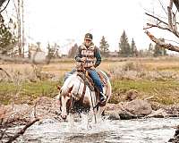 roping-paint-horse
