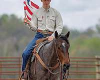 ranch-versatility-quarter-horse