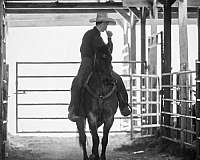 trail-riding-quarter-horse