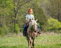 athletic-pony