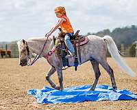 barrel-racing-pony