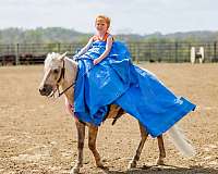 beginner-pony