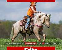 all-around-pony