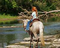 companion-pony