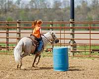 kid-safe-pony